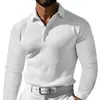 Camisa polo de punto gofrado para hombre de Amazon, de importación, con cuello camisero, manga larga, adecuada para vacaciones y uso casual