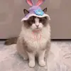Gorro Lindo y Divertido para Mascota Disfraz de Gato Accesorio para la Cabeza Accesorios para Perro Collar Adornos Tejidos Nuevos 2026