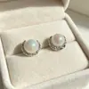Pendientes de Perla de Lujo Ligero para Mujer, Pendientes de Mariposa de Diseño Francés, Pendientes Exquisitos, Dulces, Modernos y Versátiles al por Mayor
