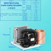 Enfriador pequeño Rainbow QD30W 220V refrigeración agua circulante compresor de microrefrigeración kit DIY