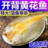 Especialidade de Wenzhou: Croaker Amarelo Seco, Peixe Salgado, Croaker Amarelo Seco Salgado, Croaker Amarelo Grande, Peixe Flor Amarela, Frutos do Mar Secos, Peixe Pepino