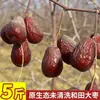Tâmaras Vermelhas de Hetian, Xinjiang, Secas ao Sol, com Cinzas e Terra, Naturais, Sem Cera, Tâmaras Novas para Fazer Sopas, Frutas Secas Naturais para Lanches