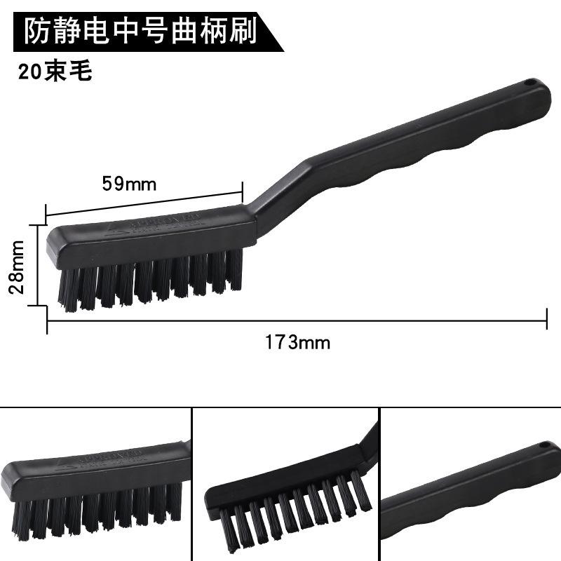 中号