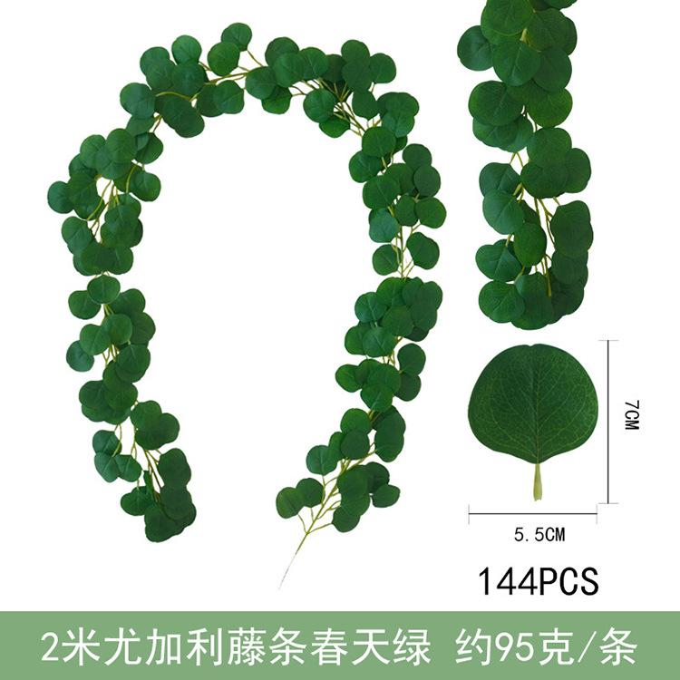 2米尤加利藤条-春天绿.jpg
