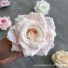 Rosa Rizada Cappuccino Multicolor Cabeza de Rosa de Lana Flor de Boda para Pared Flor de Rosa de Diamante Flor Artificial Tocado