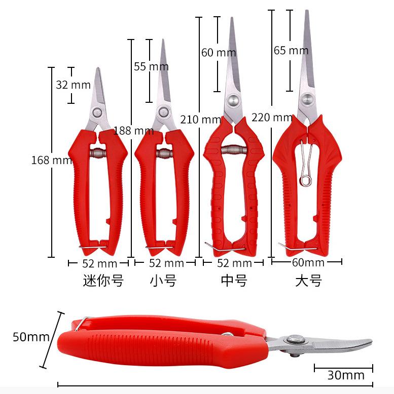 51ea27e8036c45a3bbcf00ddc12715