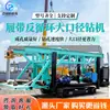 Equipo de Perforación de Circulación Inversa de Cinco Pulgadas Máquina Perforadora de Cimentación sobre Orugas de Gran Diámetro para Ingeniería de Cimentaciones de Puentes