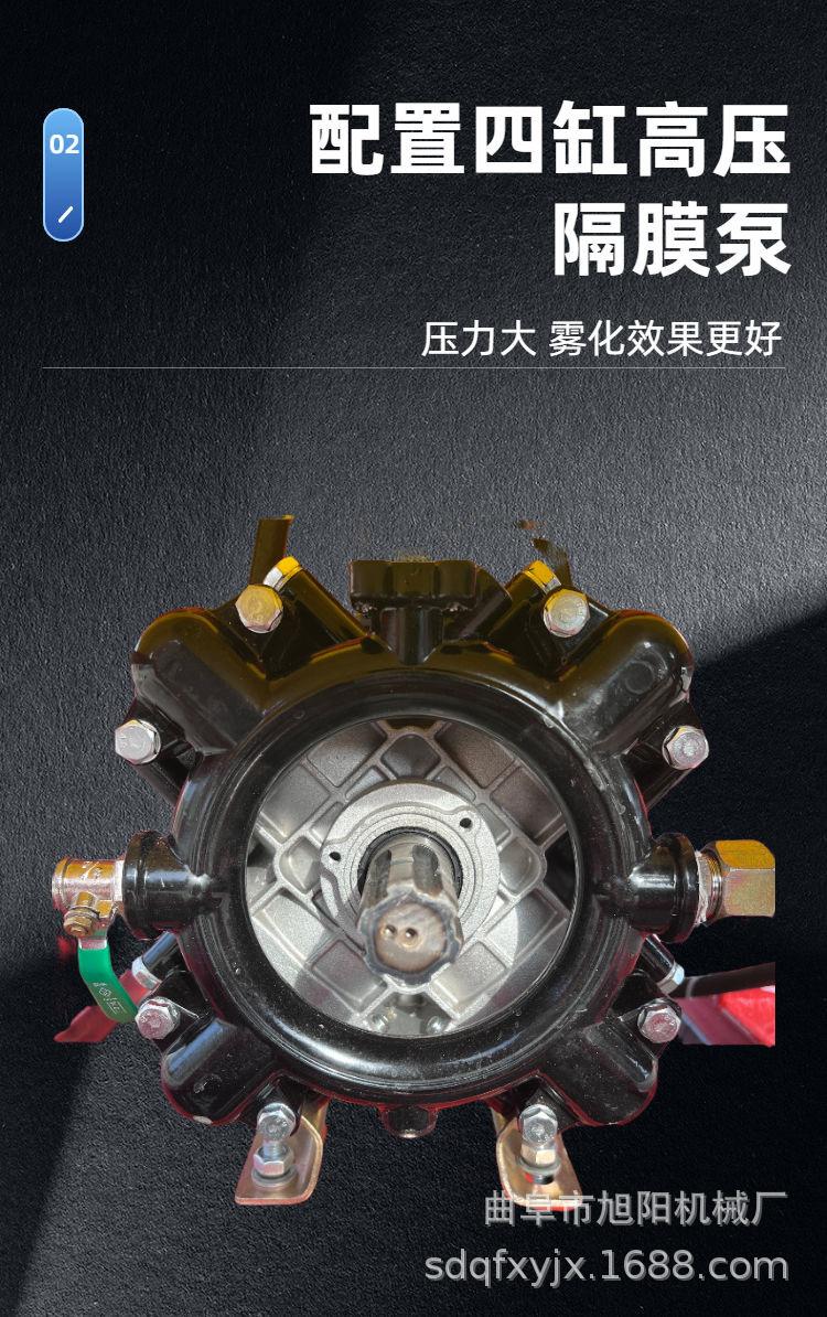详情 (7).JPG