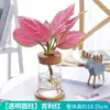 Planta em Vaso Vermelho Geely, Planta Verde Ruyi Rainha Elefante Branco Hidropônica, Planta de Folha Decorativa para Mesa de Escritório, Flor Fácil de Cuidar