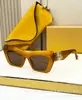 LOE Gafas de Sol Clásicas de Moda Ojo de Gato Placa de Alta Calidad Transfronterizas Luz de Lujo Anti-ultravioleta para Mujer LW40036I