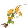 Simulación manzanilla pequeña Margarita crisantemo silvestre flor de seda flor falsa boda Hogar Hotel decoración de ingeniería flor al por mayor