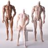 BJD 6 pontos MZ corpo masculino 13 articulações 30cm do que corpo de boneca fornecimento de e-commerce transfronteiriço material DIY de brinquedo
