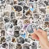 64 Piezas de PVC Transfronterizo Más Vendidos Lindas Pegatinas de Gatito Venta al por Mayor DIY Decoración para Funda de Teléfono Papelería Juego de Pegatinas Artículos Populares