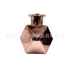 Atacado Frasco de Aromaterapia Sem Chama 200ml Frasco de Aromaterapia Frasco de Vidro Galvanizado Difusor de Rattan Vaso Multifacetado Fragrância