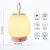 Luz de Sensor de Luz para Dormitorio de Residencia Universitaria Luz Nocturna Venta Caliente de Celebridades de Internet Transfronteriza Lámpara de Escritorio Creativa Retro de Gama Alta con Carga USB