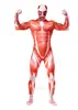 Traje de Halloween Ataque a los Titanes Mono de Alta Elasticidad Moldeador Muscular Body cosplay Anime