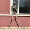 Explosiones Transfronterizas cos Adornos de Esqueleto Escena de la Cámara Secreta de la Momia Decoración de Casa Embrujada Accesorios de Terror Esqueleto