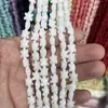Serie Oceánica Polvo de Concha Compactado Forma de Estrella de Mar Tortuga Cuentas para Pulsera Collar DIY Accesorios de Joyería Venta al por Mayor