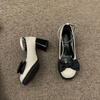 Zapatos Mary Jane de Tacón Alto de una Sola Capa para Mujer con Tacón Grueso, Nuevos de Primavera y Verano 2022, Zapatos de Cuero con Corte Bajo Francés y Hebilla
