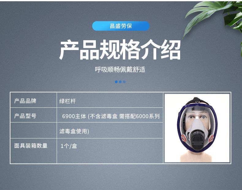 6900面罩_03.jpg