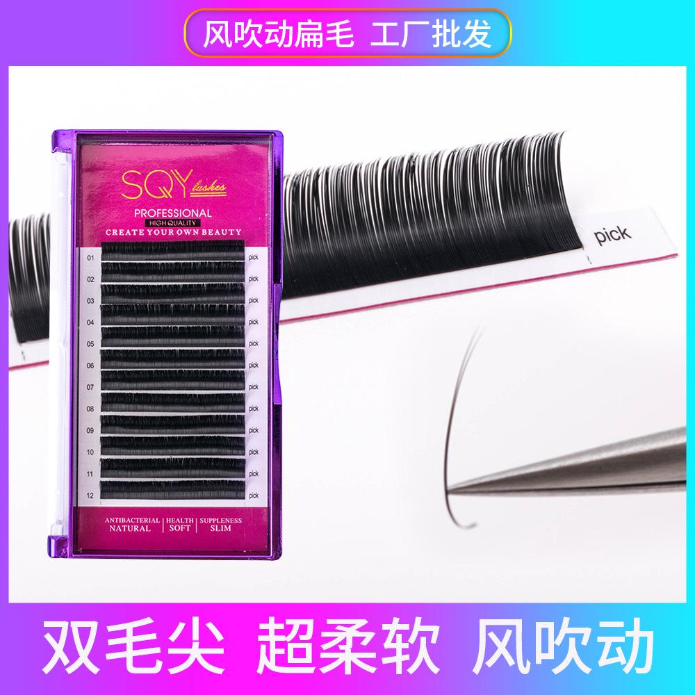 扁毛