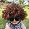 Venta Directa de Fábrica Peluca Afro Payaso Colorida Accesorios para Disfraz de Mascarada Cabello de Abanico Estilo Peculiar