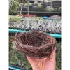 Suporte de Planta Verde para Mesa em Formato de Abacaxi Suporte para Air Plant Base de Escritório Rack Suporte para Flores Suporte de Planta de Escritório