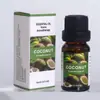 Atacado 40 Tipos de Óleos Essenciais Solúveis em Água de Plantas para Umidificadores, Menta, Rosa, Lavanda Óleos Essenciais Solúveis em Água para Aromaterapia