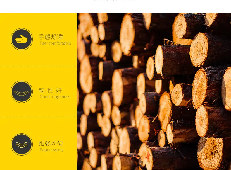 RC相纸_05