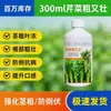 Solução Nutricional Especializada para Salsão para Torná-lo Mais Espesso e Forte, Fertilizante Solúvel em Água para Promover o Crescimento, Endireitamento, Espessamento e Prevenir a Doença Branca, Fertilizante Foliar Atacado