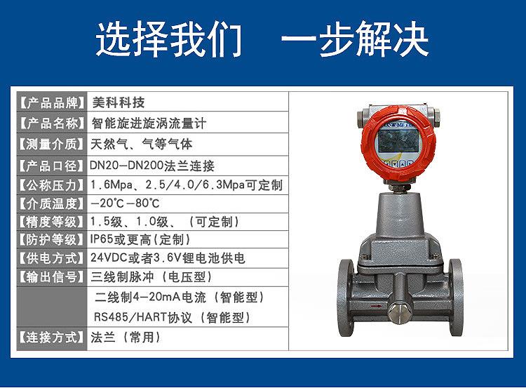 旋进旋涡流量计_10(1).jpg