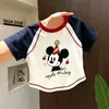 Camiseta de Manga Corta para Niña 2026 Nuevo Estilo para Niños Mayores, Top de Algodón Puro Lindo de Verano para Niña con Costuras Visibles, Camiseta Básica de Corte Holgado