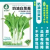 Dropshipping de semillas de verduras de otoño e invierno: espinaca, cilantro, semillas de bok choy, cebollín de cuatro estaciones, apio, cebolleta y semillas de puerro