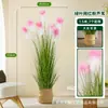 Estilo Nórdico Grama de Junco Artificial Plantas Falsas Flores Artificiais Plantas Verdes para Paisagismo Decoração de Canto sob Escadas Ornamentos de Vasos de Chão