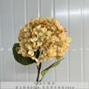 Simulación de 192 piezas de pétalos rotos de hortensia para boda, hortensia boutique blanca verde, hortensia suave para jardín casero