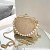 Bolso de Cadena Transfronterizo para Mujer, Nuevo Bolso de Mano con Textura Tejida de Paja, Bolso Cuadrado Pequeño con Cierre, Bolso de Hombro Único Cruzado Tipo Concha Moderno