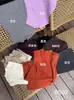 Colete Tricot Feminino Slim Fit Sem Mangas com Gola Meio Alta, Top Versátil Liso, Novo Modelo 2026, Disponível em Várias Cores