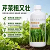 Fertilizante Específico para Salsão Salsão Crocante Grande Tesouro Universal Espessante Branco Alongamento Textura Crocante Verde Macio Folhas Macias Fertilizante Foliar Fertilizante Solúvel em Água