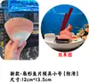 Presentación de Sashimi Mariscos Decoración de Sashimi Anillos de Rábano Molde de Colocación de Rodajas de Pescado en Forma de Abanico Trucha de Coral Mero Tigre Salmón