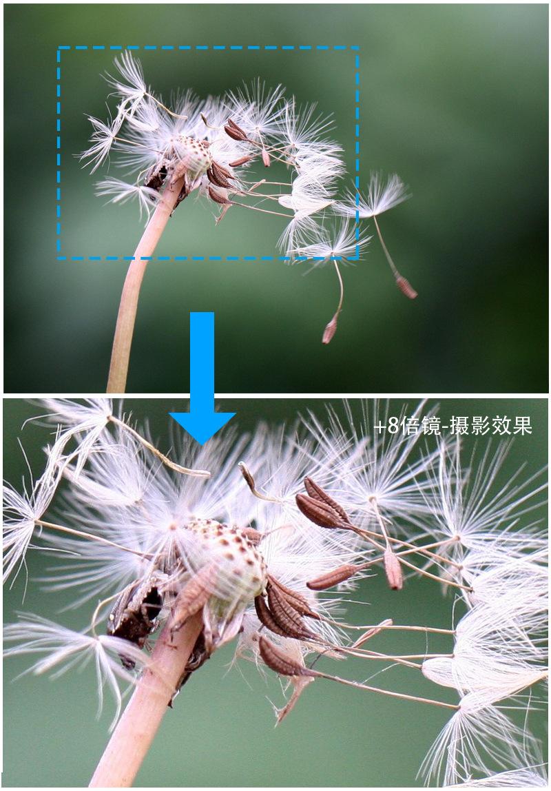 8倍效果