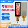 Pantalla de Tira LCD de 4.6 Pulgadas 320*960 para Electrodomésticos, Instrumentos Musicales, Bombas de Infusión Médicas y Fuentes de Alimentación de Almacenamiento de Energía