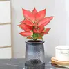 Rábano Verde Árbol de la Fortuna Espárrago Bambú Flor de Incienso de Nueve Millas Planta en Maceta Interior Menta Bambú Rico Planta Hidropónica Fácil de Alimentar