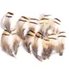 80 Tipos de Penas Naturais de Faisão, Penas Reais, Decorações Nativas Americanas, Acessórios DIY, Acessórios de Cabelo, Peças para Brinquedo de Vara para Gato