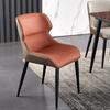 Cadeira de Jantar de Ferro Forjado Nórdico para Uso Doméstico, Cadeira de Jantar Minimalista Moderna, Cadeira de Luxo Leve, Atacado do Fabricante, Cadeira de Reunião Estilo Minimalista Italiano