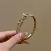 Nova pulseira de leopardo dourada da moda estilo europeu e americano, ajustável, personalizada e criativa, microincrustada com zircônia, joia elegante para meninas