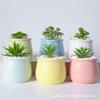 Vasos de Flores de Cerâmica, Vasos de Flores e Plantas Verdes Simuladas, Vasos de Cerâmica, Decorações para Sala de Estar, Vaso de Mesa Bonsai, Vasos de Flores de Cerâmica Criativos