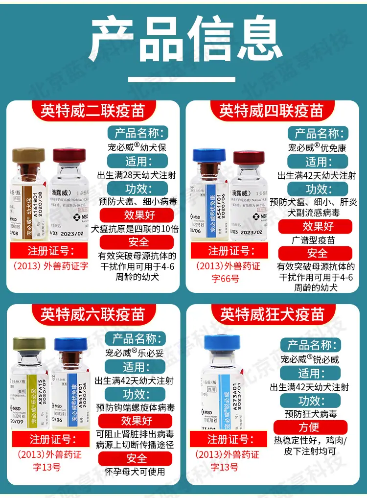 多格多英特威水印_04.jpg