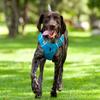 Correa de pecho para perros popular transfronteriza, correa interior plegable de nailon para perros, correa para perros para viajes al aire libre, correa trasera silenciosa para perros, venta al por mayor de fábrica