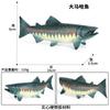 Simulação Tubarão Modelo de Animal Marinho Grande Tubarão Branco Megalodon Tubarão Tigre Baleia Azul Polvo Polvo Lagosta Brinquedo