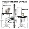 Bomba de Ar Chunzhou 209 Redonda para Grooming Levantar Giratório Pet Shop Gato e Cachorro Teddy Mesa de Grooming Mesa de Beleza